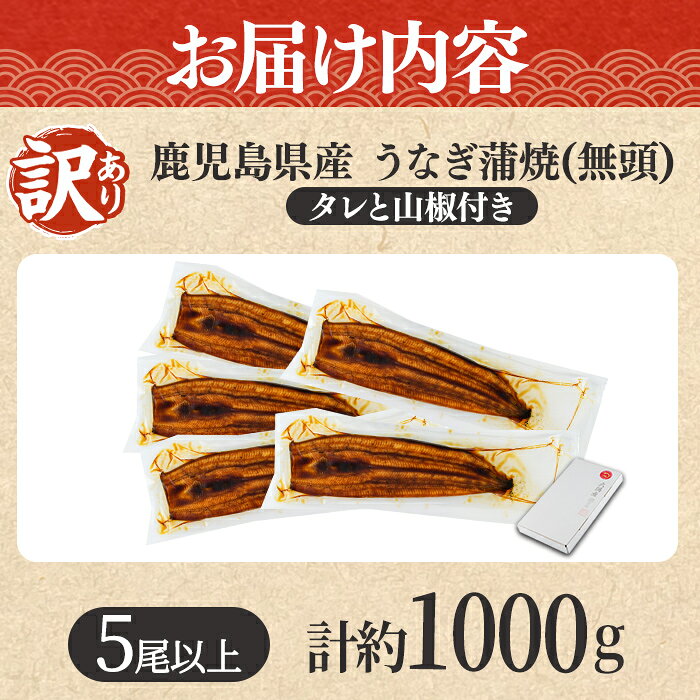 【ふるさと納税】＼高評価★4.59獲得！／＜訳あり＞東串良町のうなぎ蒲焼(無頭)(5尾以上・計約1kg・タレ、山椒付) うなぎ 蒲焼長焼 ウナギ 鰻 蒲焼き 国産 九州産 鹿児島 鹿児島県産 人気 ランキング 高級【アクアおおすみ】【0254362a】 f464821-higashikushira-10000612 鹿児島県東串良町 サンプル画像3