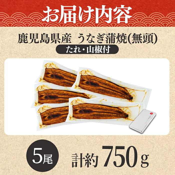 【ふるさと納税】＼高評価★4.77獲得！／東串良町のうなぎ蒲焼(無頭)(5尾・計約750g・タレ、山椒付) うなぎ 蒲焼長焼 ウナギ 鰻 蒲焼き 国産うなぎ 国産 九州産 鹿児島 鹿児島県産 人気 ランキング 高級【アクアおおすみ】【0294315a】 f464821-higashikushira-10000574 鹿児島県東串良町 サンプル画像3