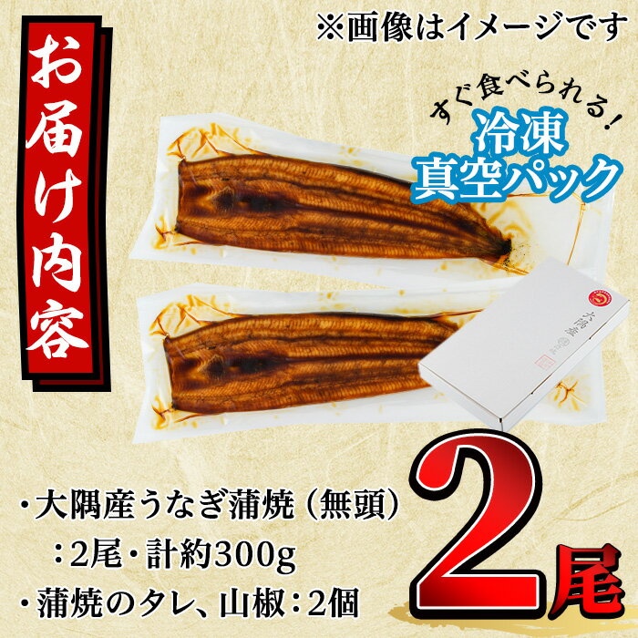 【ふるさと納税】＜先行予約受付中！2022年10月以降順次発送予定＞東串良町のうなぎ蒲焼(無頭)(2尾・計約300g・タレ、山椒付)うなぎ生産量日本一の鹿児島県！国産で安心！豊富な地下水で育った鰻の蒲焼き！【アクアおおすみ】【11930】