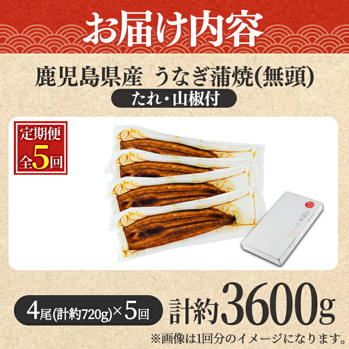 【ふるさと納税】＼高評価★4.80獲得！／＜定期便・全5回＞東串良町のうなぎ蒲焼(無頭)(4尾・計約720g・タレ、山椒付×5回) うなぎ 蒲焼長焼 ウナギ 鰻 蒲焼き 国産うなぎ 国産 九州産 鹿児島 鹿児島県産 人気 ランキング 高級 おすすめ 定期【アクアおおすみ】【1254305b】 f464821-higashikushira-10000646 鹿児島県東串良町 サンプル画像3