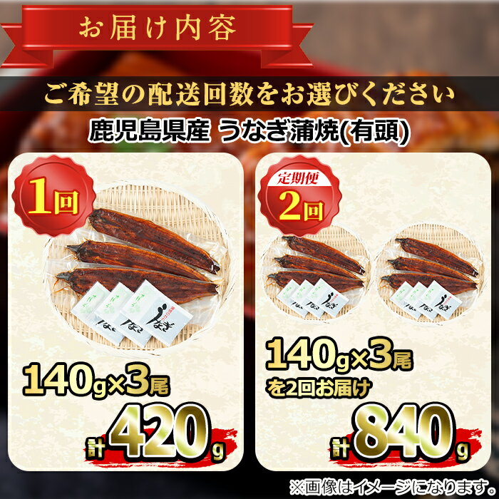 【ふるさと納税】大隅産うなぎの蒲焼(有頭)＜計約420g(約140g×3尾)/定期便・計約840g(約140g×3尾×2回)＞ うなぎ 高級 ウナギ 鰻 国産 蒲焼 蒲焼き たれ 鹿児島【永峯うなぎ店】