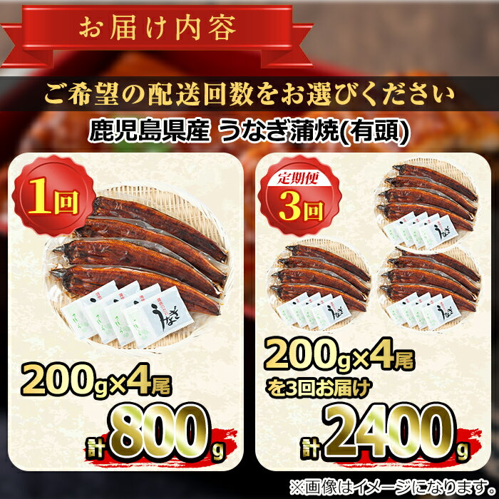 【ふるさと納税】大隅産うなぎの蒲焼＜計約800g(約200g×4尾)/定期便・計約2400g(約200g×4尾×3回)＞うなぎ 高級 ウナギ 鰻 国産 蒲焼 蒲焼き たれ 鹿児島【永峯うなぎ店】