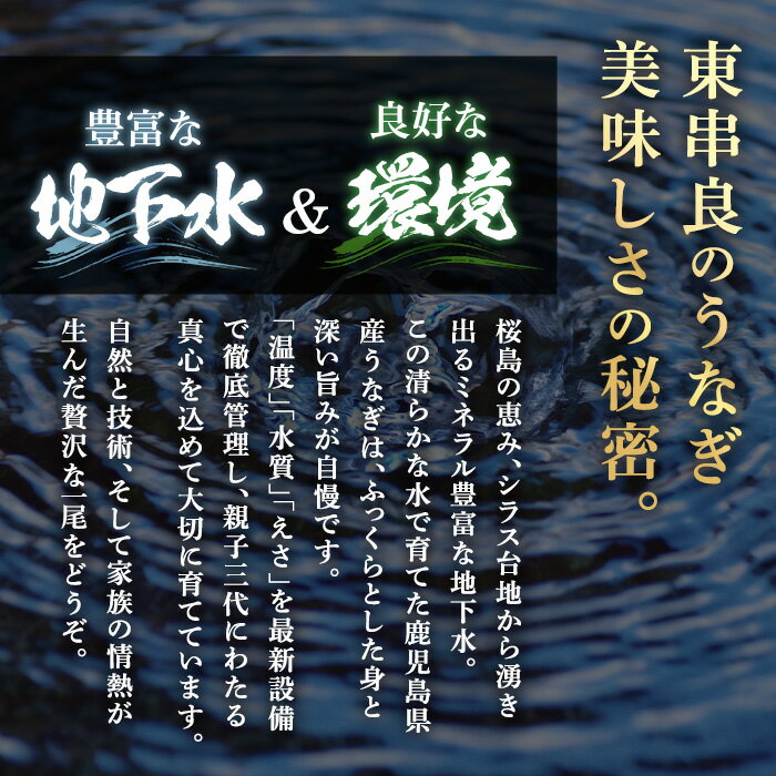 【ふるさと納税】＼高評価★4.59獲得！／＜訳あり＞東串良町のうなぎ蒲焼(無頭)(5尾以上・計約1kg・タレ、山椒付) 数量限定 うなぎ 高級 ウナギ 鰻 国産 蒲焼 蒲焼き たれ 鹿児島 ふるさと 人気【アクアおおすみ】【0304313a】