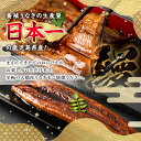 鹿児島県東串良町の画像3
