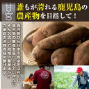鹿児島県東串良町の画像2