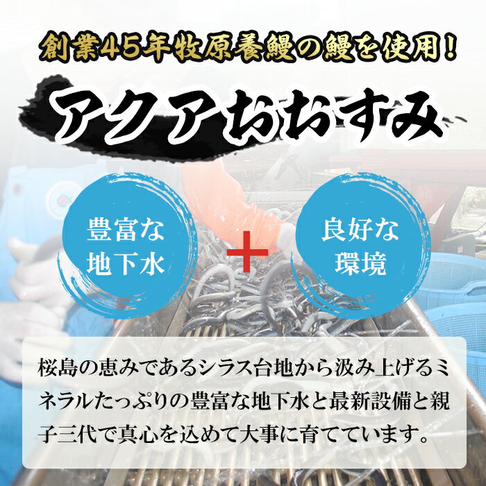 【ふるさと納税】＜定期便・全3回＞東串良町のうなぎ蒲焼(無頭)(4尾・計約720g・タレ、山椒付×3回)うなぎ生産量日本一の鹿児島県！国産で安心！豊富な地下水で育った鰻の蒲焼き！【アクアおおすみ】【78945】