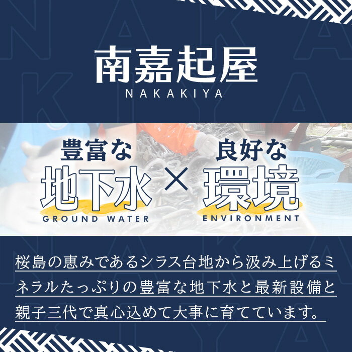 【ふるさと納税】＜数量限定＞添加物不使用！鹿児島県鰻のモツアヒージョ2種セット(計280g・140g×2個) うなぎ 高級 ウナギ 鰻 国産 おつまみ おかず 鹿児島 ふるさと 人気【南嘉起屋】【0115703a】