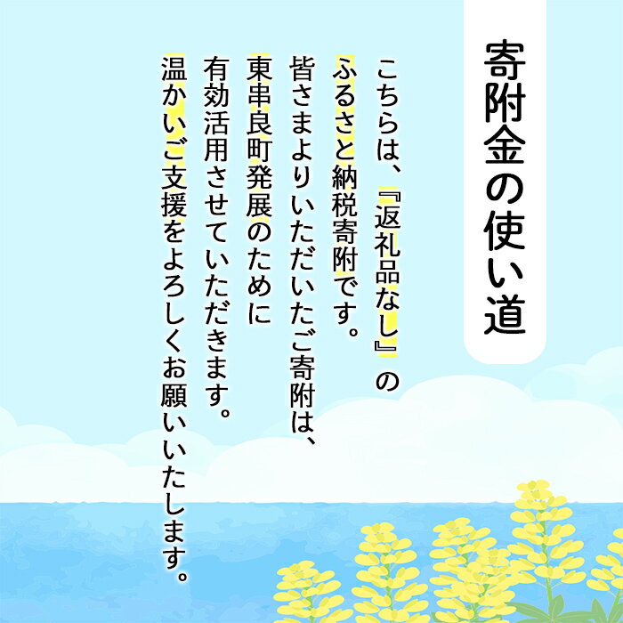 【ふるさと納税】＜返礼品なし＞鹿児島県本土でいちばん小さな町「東串良町」への寄附(1口：3,000円)【0034601a】