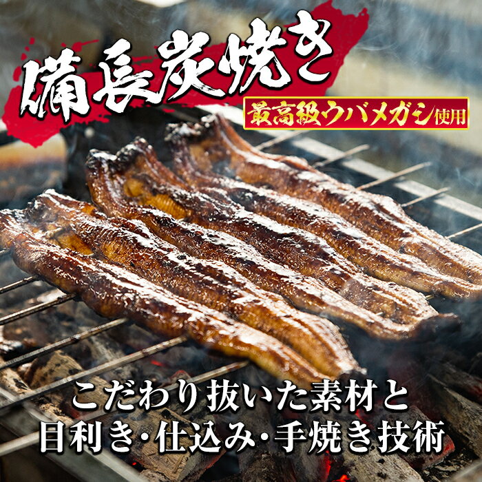 【ふるさと納税】秘伝のタレ付き！大隅産うなぎ(蒲焼き2尾・きざみうなぎ3袋・焼肝串2本)セット！創業50年以上の老舗職人が備長炭で焼き上げた贅沢な蒲焼き！【うなぎ太郎】【45749】
