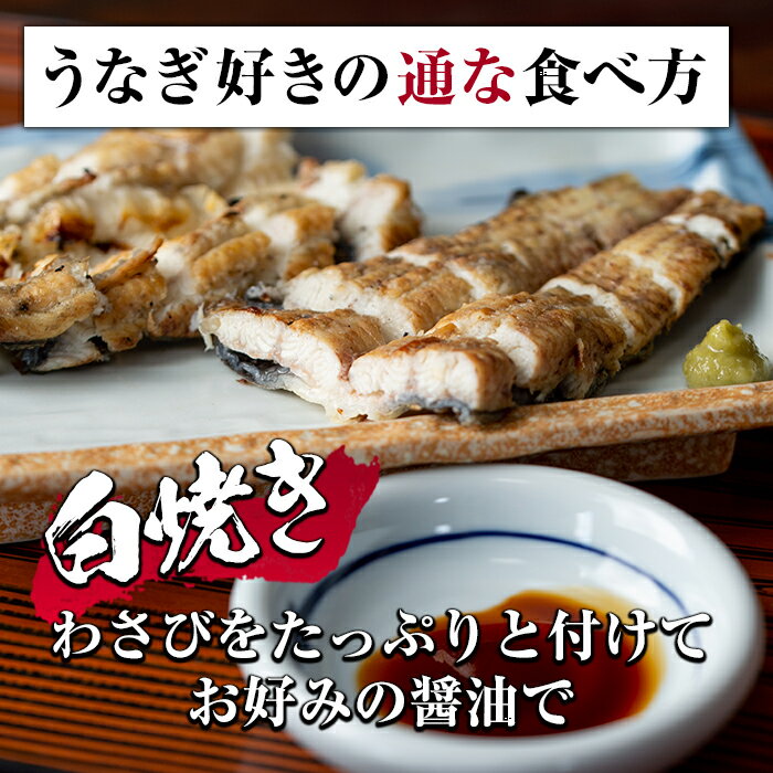 【ふるさと納税】鹿児島県産うなぎの白焼(2尾・計300g以上) 創業50年以上の老舗職人が備長炭で焼き上げた贅沢な白焼き！こだわりぬいた大隅産ウナギをお届け【うなぎ太郎】【22649】