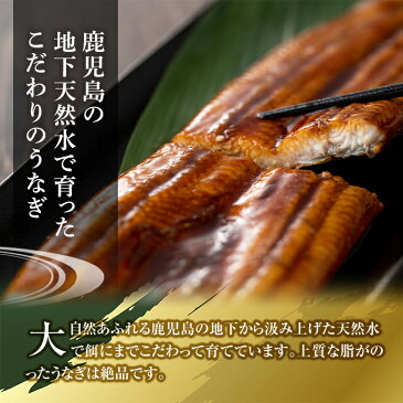 【ふるさと納税】《定期便・全5回お届け》鹿児島県産!地下天然水で育てた特上うなぎ6.8kg(170g×8尾×5回)1尾ずつ真空パックで!【財宝】【250672】