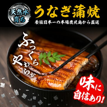 【ふるさと納税】《定期便・全5回お届け》鹿児島県産!地下天然水で育てた特上うなぎ6.8kg(170g×8尾×5回)1尾ずつ真空パックで!【財宝】【250672】