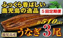 【ふるさと納税】【100668】地下水で育てた 鹿児島産 特上うなぎ 3尾×5回定期便