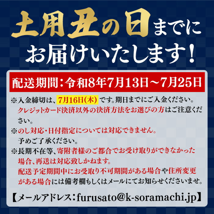 【ふるさと納税】＜土用丑の日発送も選べる！＞うなぎ蒲焼・大(有頭)( 2尾 〜 15尾 )(タレ・山椒付)鹿児島 国産 鰻 うなぎ ウナギ 蒲焼き うな丼 うな重 ひつまぶし 土用の丑の日 真空パック 贈答 ギフト 定期便 全3回 毎月発送 【一般社団法人きもつき宇宙協議会】