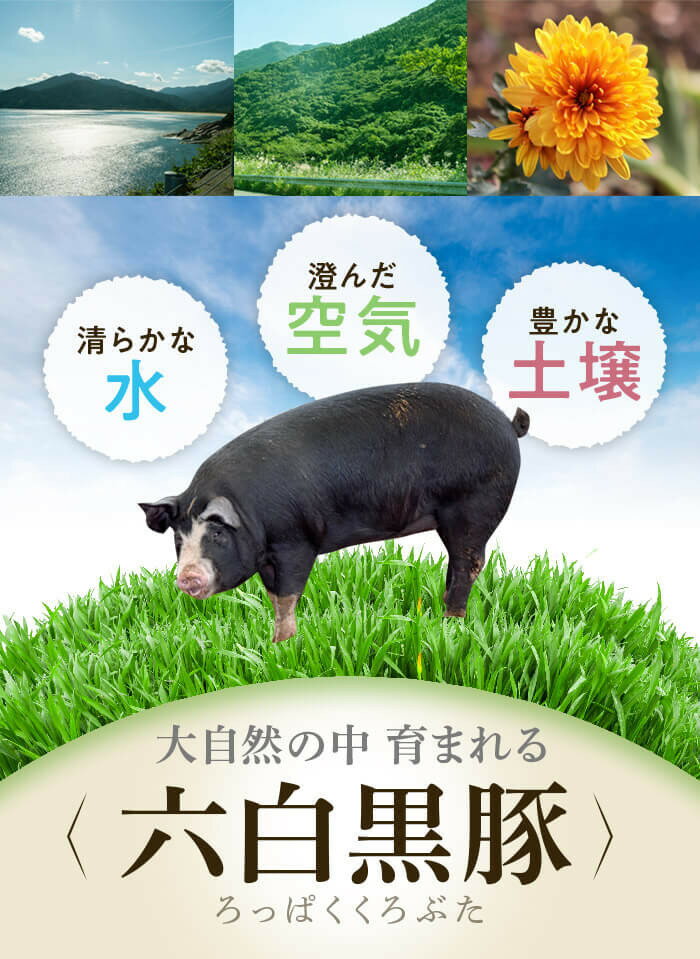 【ふるさと納税】鹿児島県産黒豚バラブロック(計約2kg・約500g×4P)、黒豚餃子(12個入×3P)セット！ 鹿児島 国産 九州産 黒豚 豚肉 お肉 バラ ブロック 餃子 ぎょうざ 角煮 焼肉 叉焼 焼豚 チャーシュー おかず 惣菜【和田養豚】