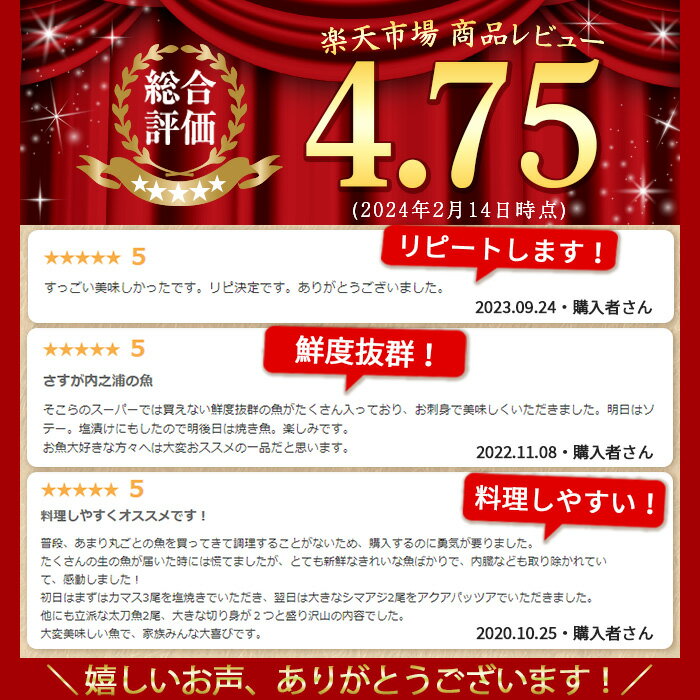 【ふるさと納税】 地魚詰め合わせセット(約4人分) 鹿児島 国産 九州産 産直 産地直送 鮮魚 新鮮 魚 海産物 お刺身 煮つけ 焼き魚【マルケイ水産】