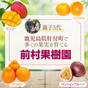 鹿児島県肝付町の画像2