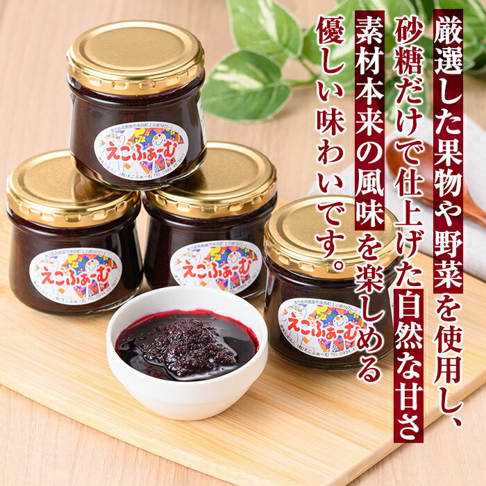 アンチョビ フィレ 缶詰 スカーリアさんのアンチョビ 550g（固形量 350g）