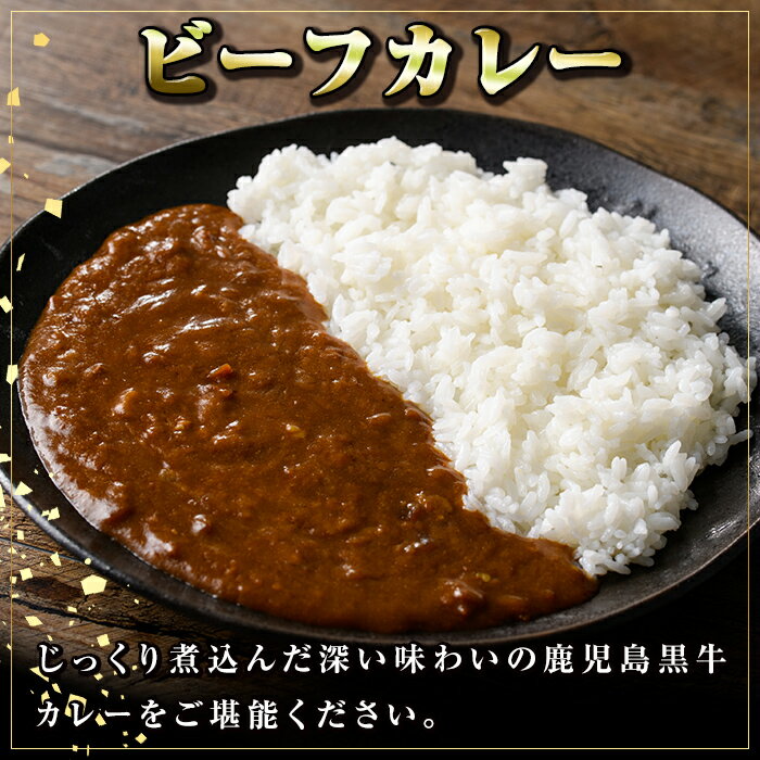 テレビ番組で紹介されました！じっくり煮込んだ深い味わいの鹿児島黒牛カレー ふるさと納税 肝付町 特産品 お肉 牛肉 レトルトカレー　【ふるさと納税】＜先行予約受付中！2026年1月下旬以降順次発送＞＜容量が選べる！＞鹿児島黒牛ビーフカレー(160g×10P or 30P) 鹿児島 国産 黒牛 牛肉 カレー ビーフ レトルトカレー パック ご当地カレー おかず 惣菜 ギフト 贈答 常温保存 常温 【新村畜産】