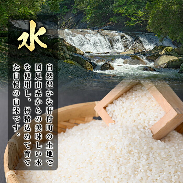 【ふるさと納税】＜容量が選べる！＞ 令和7年産 鹿児島県産 なつほのか ( 5kg or 1...