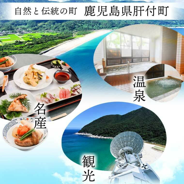 【ふるさと納税】 湯の谷温泉宿泊券(2食・観光ガイド付) 鹿児島 宿泊券 宿泊チケット 温泉 アルカリ性単純泉 1泊2食 島津藩 湯治湯 観光 【湯の谷温泉】