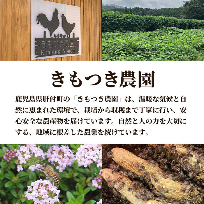 【ふるさと納税】日本ミツバチ用 巣箱一式 飼育箱 完成品 ボックス 箱 杉材 木箱 日本 ミツバチ 飼育 巣箱 蜂 蜂蜜 ハチミツ 養蜂 日本みつばち 木工品 観察 組立品 自然 国産 重箱 低箱 底板 巣門 天板 すのこ 【きもつき農園】