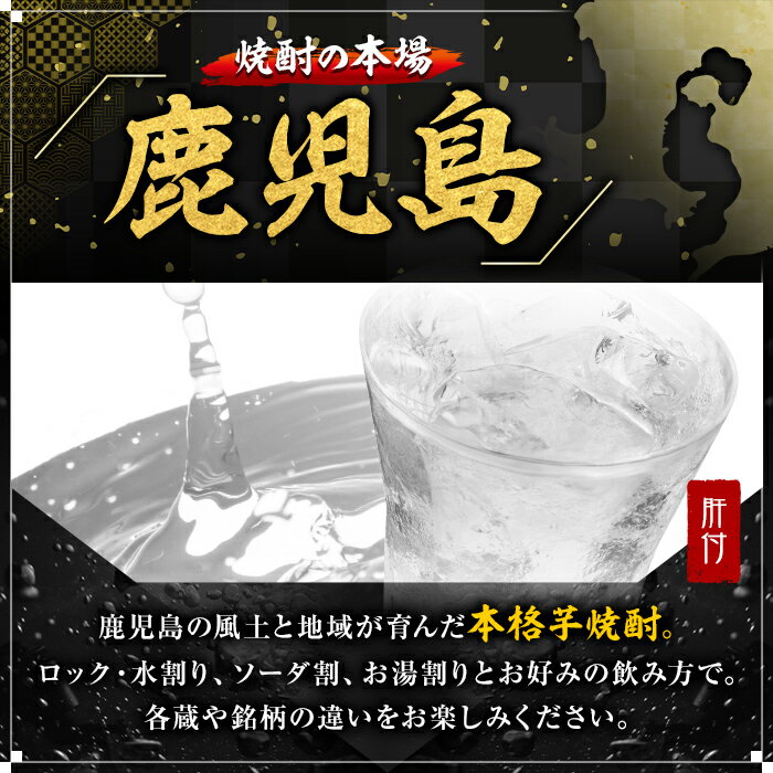 【ふるさと納税】大海酒造芋焼酎2本セット！海・さつま大海(各1800ml・計2本) 鹿児島 国産 酒 アルコール 焼酎 芋焼酎 一升瓶 ロック お湯割り ソーダ割 飲み比べ 宅飲み セット ギフト 贈答【肝付町観光協会】