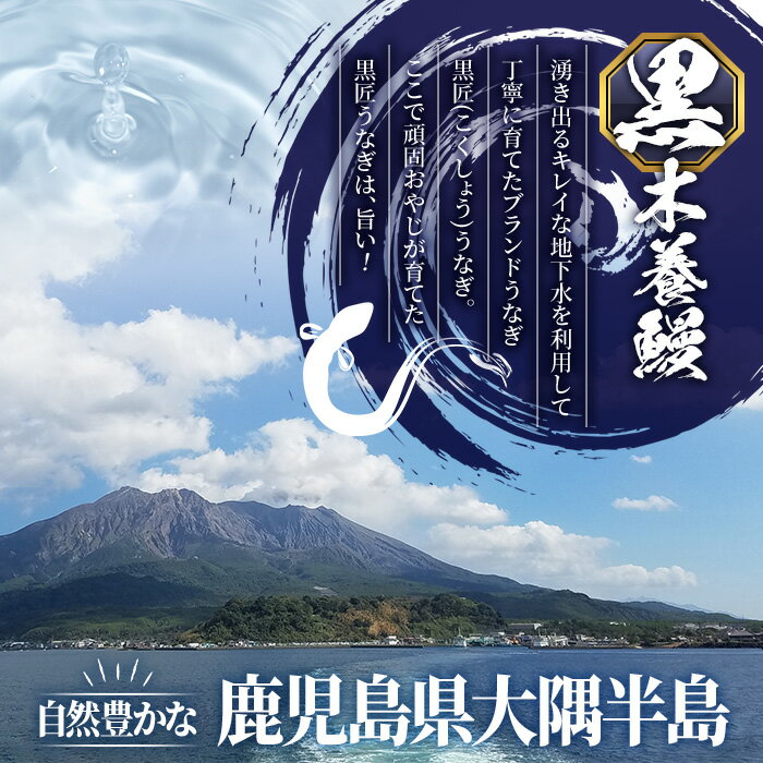 【ふるさと納税】《数量限定》＜備長炭焼き＞黒匠うなぎ・きざみうなぎ(約100g×5袋) 鹿児島 国産 鰻 うなぎ ウナギ 職人手焼き 鰻生産量日本一 蒲焼き うな丼 うな重 ひつまぶし 真空パック お土産 贈答 ギフト【黒木養鰻】