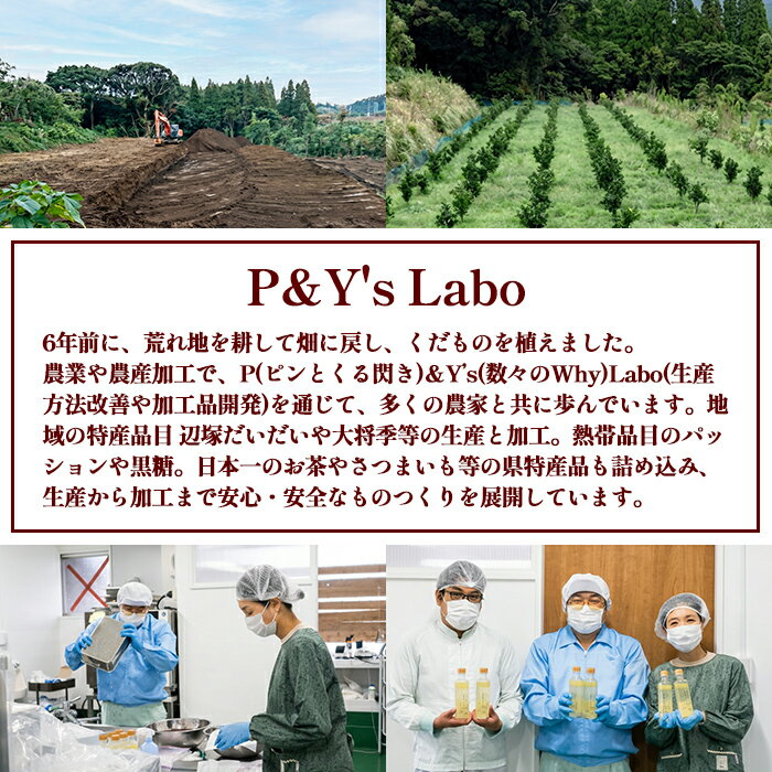 【ふるさと納税】＜種類が選べる！＞希釈用・生果汁 ジュース セット 鹿児島 国産 ...