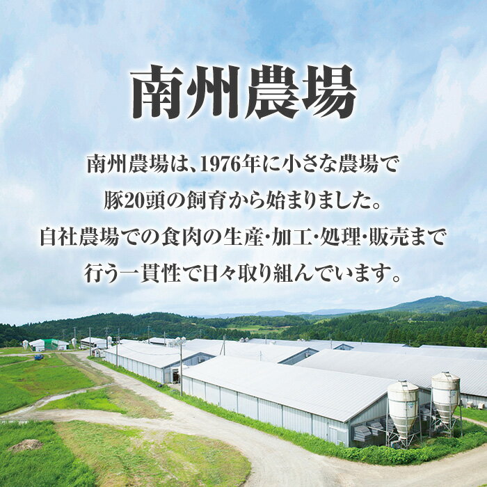 【ふるさと納税】南州農場黒豚ギフト(8種)旨味多いお肉をふんだんに使用して作った自慢の焼豚 ハム ベーコン ウインナー 鹿児島 国産 九州産 黒豚 豚肉 お肉 焼豚 叉焼 チャーシュー 肉加工品 贈答 ギフト【南州農場(株)高山ミートセンター】