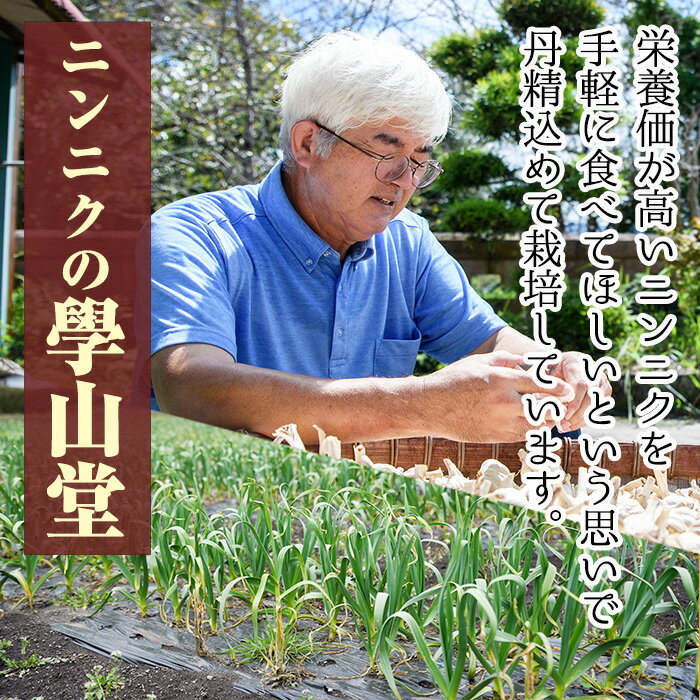 【ふるさと納税】＜先行予約受付中！2024年6月より準備ができ次第発送＞學山堂の黒にんにくミックス(計900g・黒にんにく150g×3袋、ジャンボ黒にんにく150g×3袋) 鹿児島 国産 にんにく ニンニク 大蒜 野菜 ガーリック ミックス ジャンボニンニク 野菜【ニンニクの學山堂】