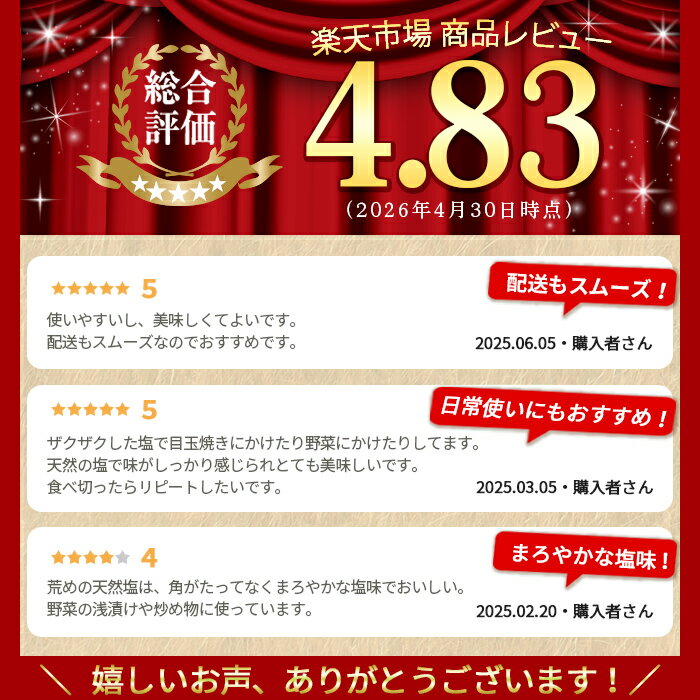 【ふるさと納税】できたひこ出来た塩 岸良の塩 (100g) 国産 塩 しお ソルト salt 調味料 ミネラル パック 天日塩 天然 無添加 【岸良リトリート】