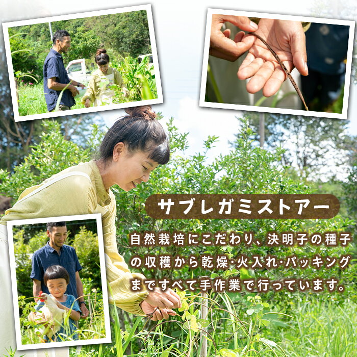 鹿児島県肝付町の画像2