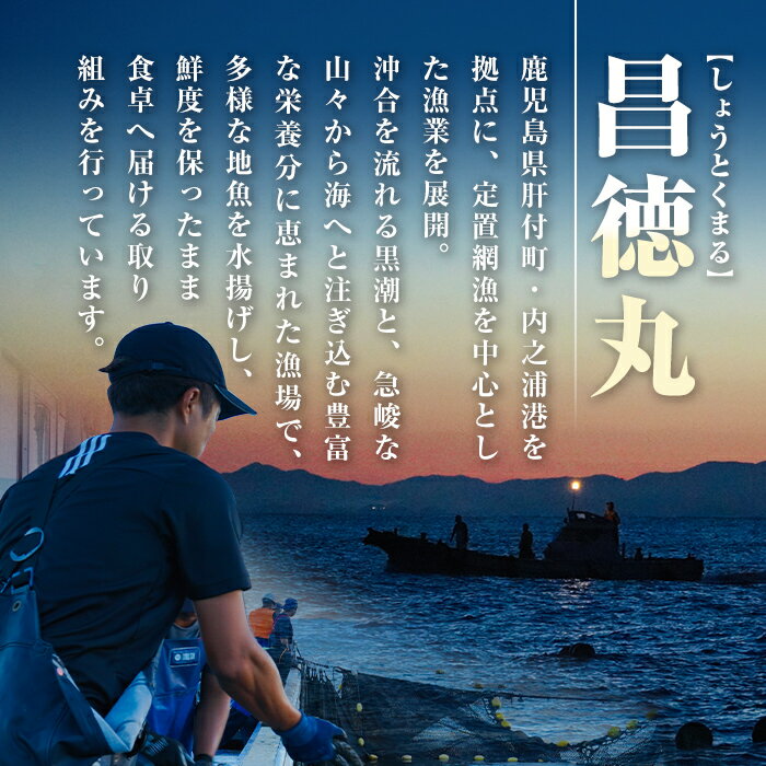 鹿児島県肝付町の画像3