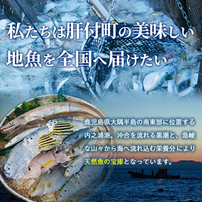 鹿児島県肝付町の画像2