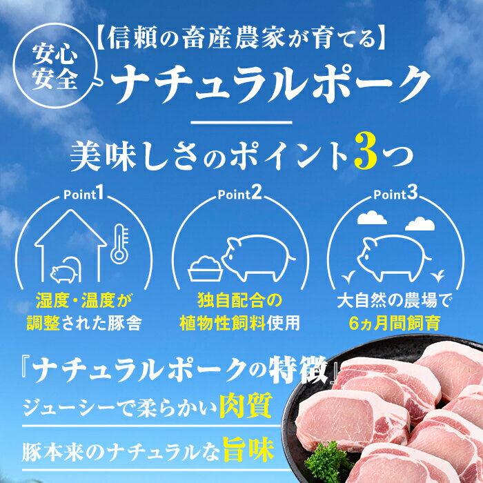 鹿児島県肝付町の画像3