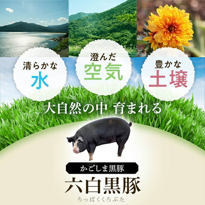 鹿児島県肝付町の画像3