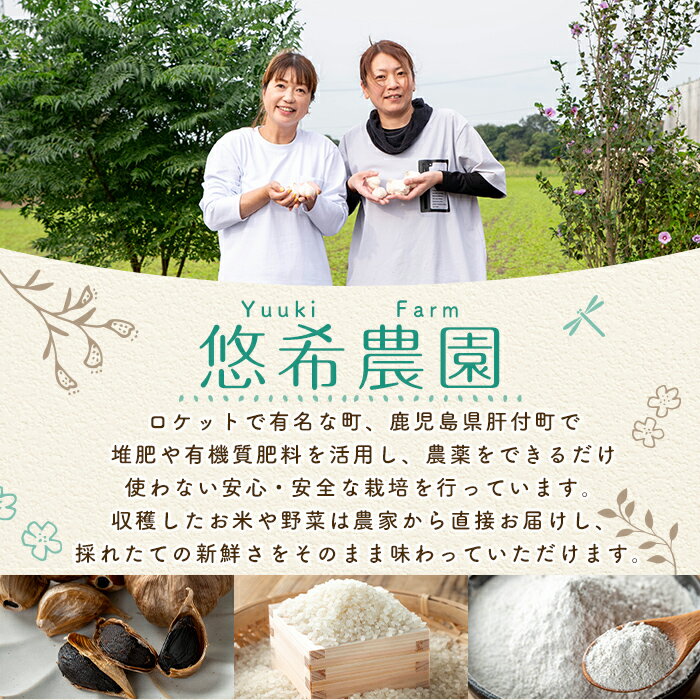 鹿児島県肝付町の画像2