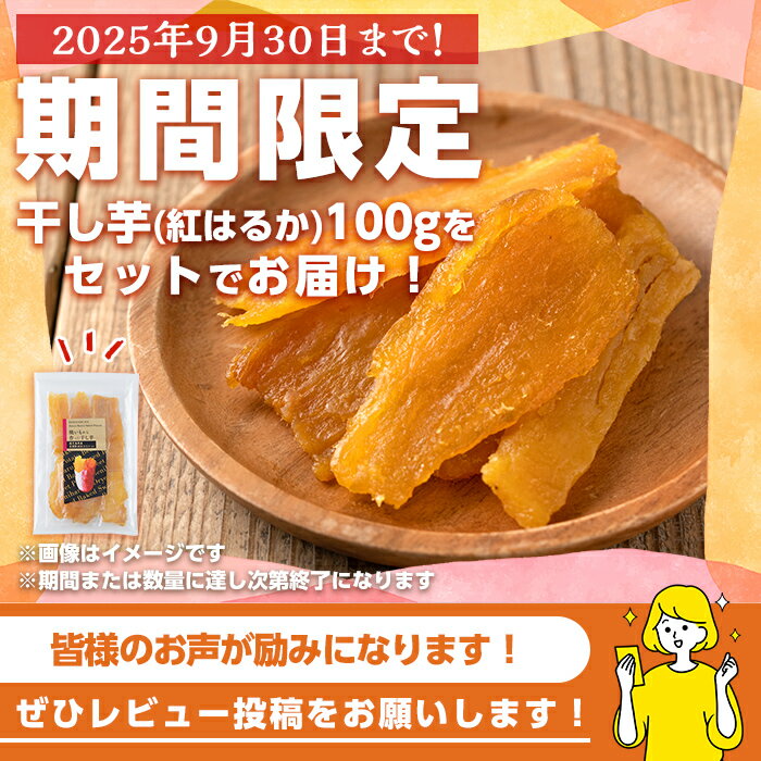 鹿児島県中種子町の画像2