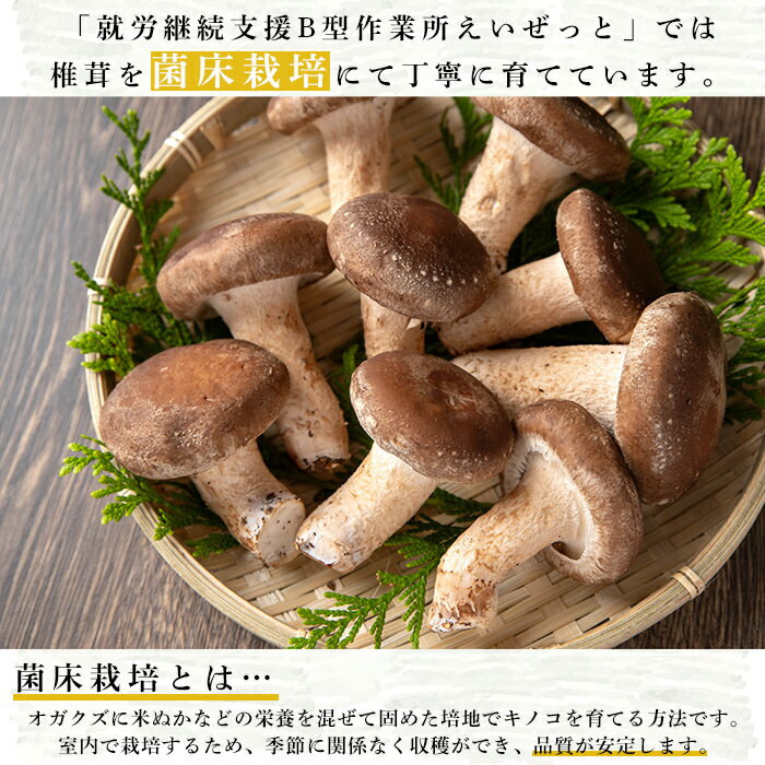 鹿児島県中種子町の画像2