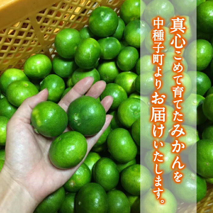 鹿児島県中種子町の画像2