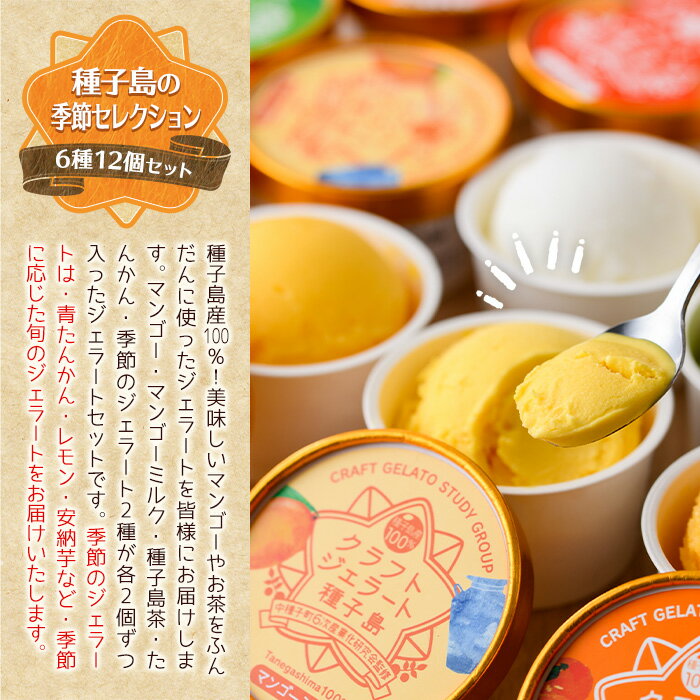 鹿児島県中種子町の画像3