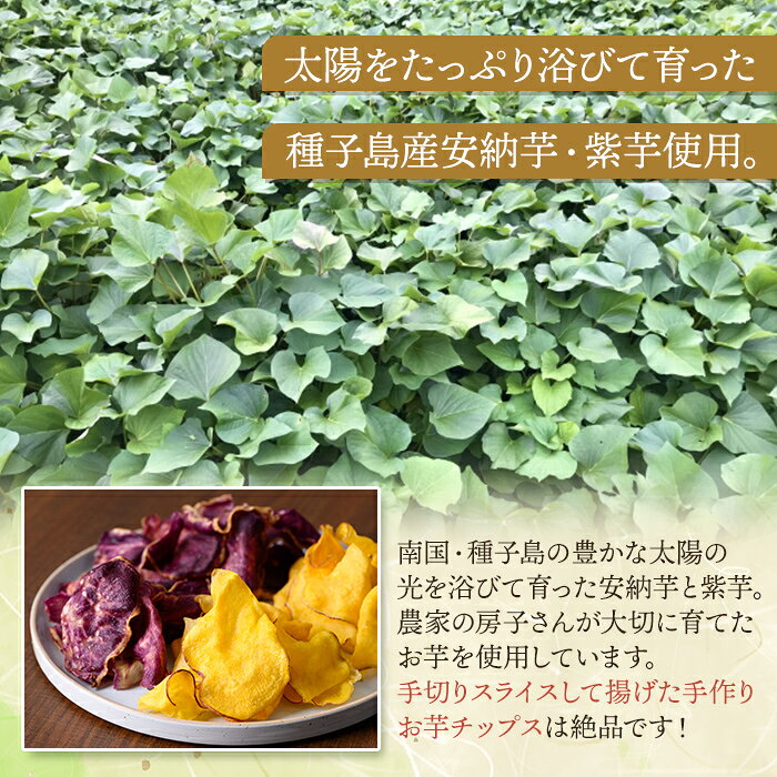 【ふるさと納税】種子島産安納芋と種子島紫使用！手づくりお芋チップス(計320g・80g×計4袋) 国産 鹿児島県産 種子島 芋 イモ さつま芋 サツマイモ 紫芋 本場 スナック チップス 塩味 シュガー味 手作り お菓子 スイーツ 和菓子 お茶菓子 お茶うけ おやつ【あぐりの里】