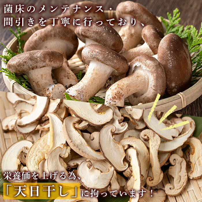 鹿児島県中種子町の画像3