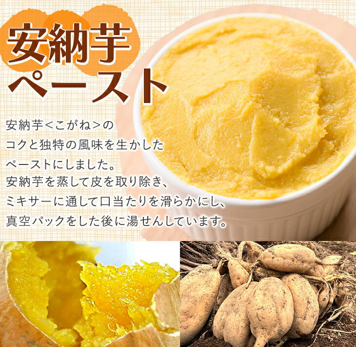 【ふるさと納税】安納芋(安納こがね) ペースト(3kg・1kg×3P) 国産 安納芋 芋 いも イモ さつまいも さつま芋 安納いもペースト 小分け 真空パック 野菜 お菓子作り 製菓材料 冷凍 【なかたね農産】