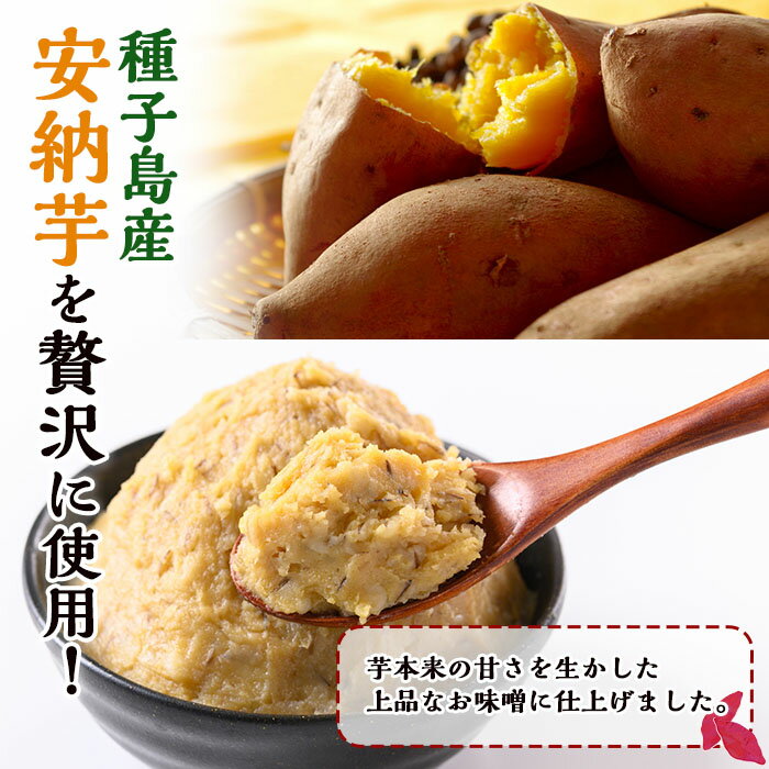 鹿児島県中種子町の画像2