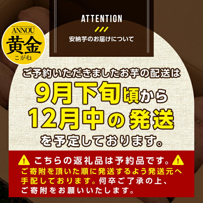 鹿児島県中種子町の画像3