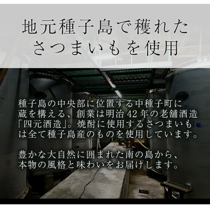 【ふるさと納税】四元酒造 グラス付きギフトセットS「島乃泉(900ml)・グラス(2個)」鹿児島 種子島 芋焼酎 いも焼酎 焼酎 グラス アルコール ご当地 お酒 宅飲み 家飲み ギフト 贈り物 ソーダ割 水割り