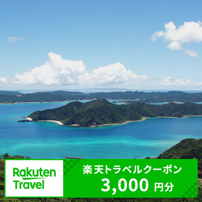 鹿児島の旅行券（宿泊券） 【ふるさと納税】鹿児島県龍郷町の対象施設で使える楽天トラベルクーポン 寄付額10,000円