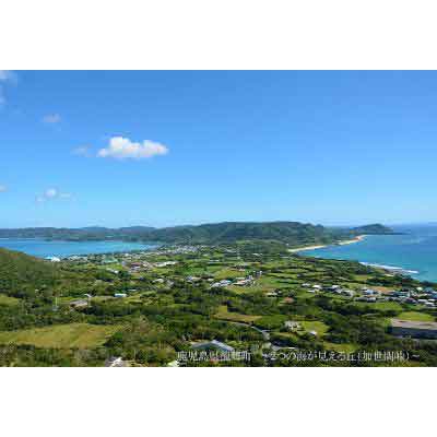 【ふるさと納税】鹿児島県龍郷町の対象施設で使える楽天トラベルクーポン 寄付額10,000円その2